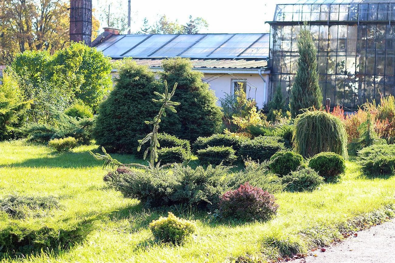 Ботанический сад БФУ имени И. Канта